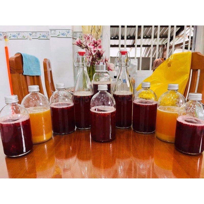COMBO 8 MÓN ĐẦY ĐỦ LÀM TRÀ KOMBUCHA, Scoby Kombucha kèm hướng dẫn chi tiết