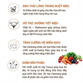 [2kg] Thức ăn hạt cho mèo con Catsrang Kitten túi 2kg