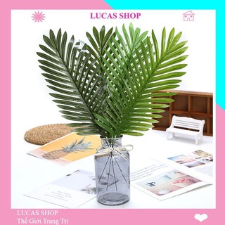 Lá giả - Lá cọ 45cm trang trí phông nền chụp ảnh, decor nhà cửa, cắm điểm, cổng cưới, bàn tiệc