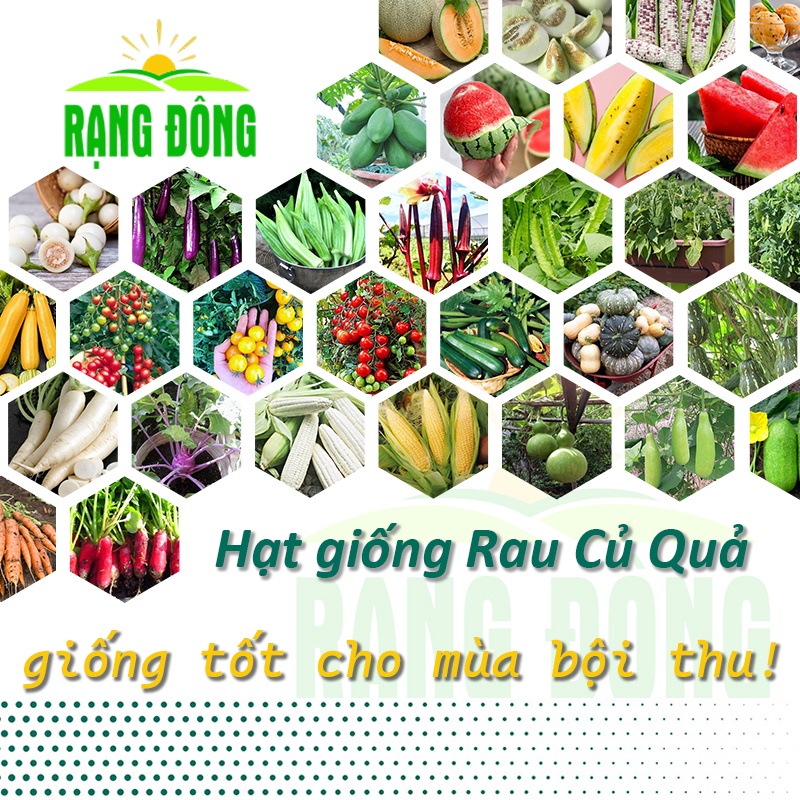 Hạt giống Rau Củ Quả - Rau Ăn LÁ trồng quanh năm, nhanh thu hoạch, ít sâu bệnh - Hạt giống Rạng Đông