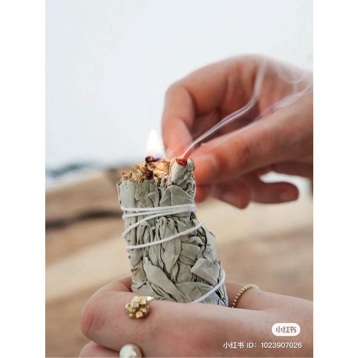 Bó Lá Xô Thơm (White Sage ) Trắng Thanh Tẩy Không Gian ,Thảo Mộc Xông ...