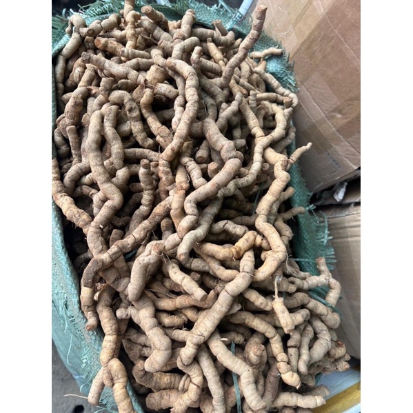 Ba kích tím Quảng Ninh (Nguyên củ) Hàng A1 (1kg)