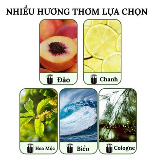 Sáp Thơm Ô Tô, Khử Mùi Hiệu Quả Có 6 Mùi Hương Phiên Bản Mới VERSION 3