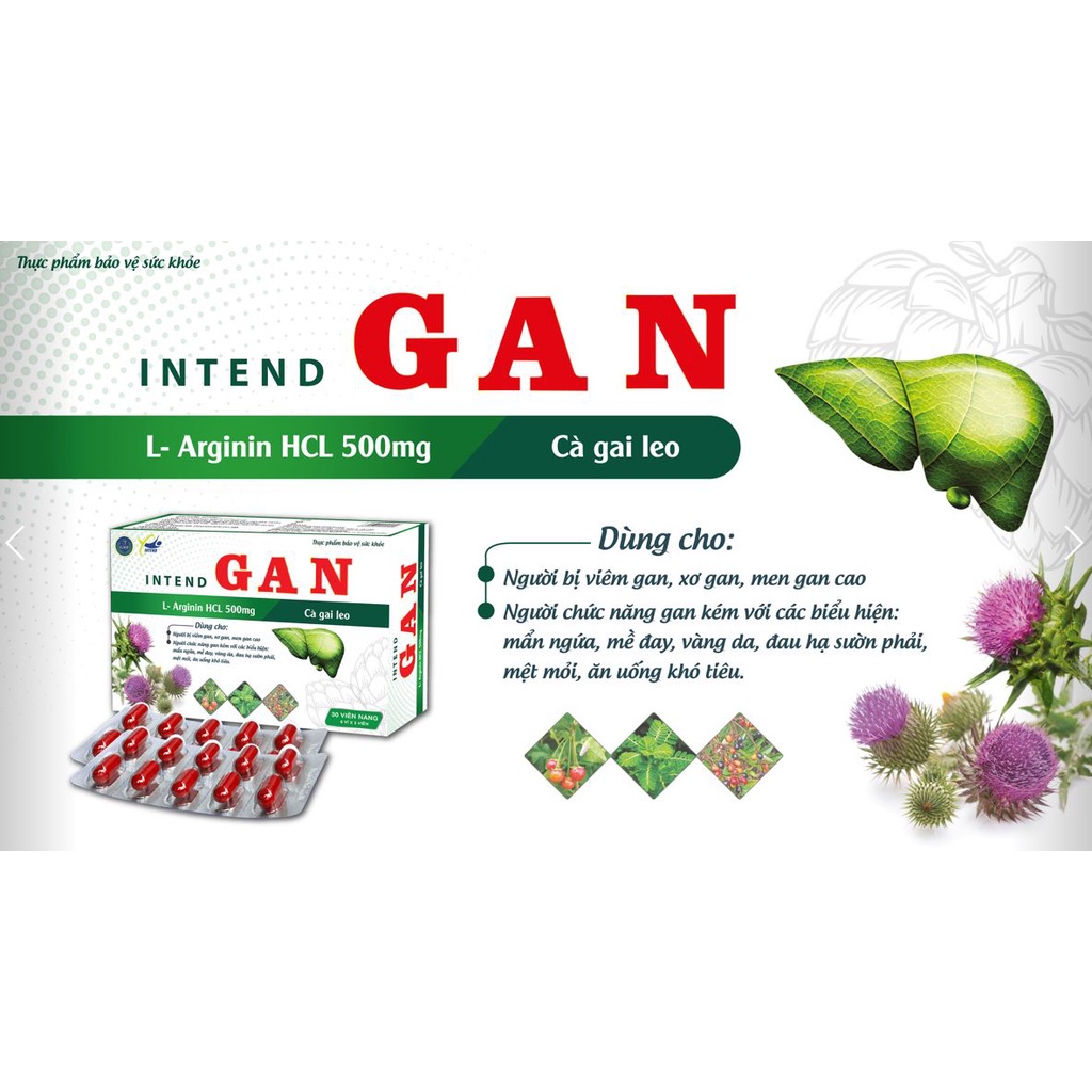 (Hộp 30 viên) Mát Gan - Giải Độc Gan - Phục Hồi Chức Năng Gan, Hổ Trợ Vàng Da, Vàng Mắt, Ăn Uống Không Ngon Do Suy Gan