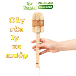 Cọ Rửa Ly / XƠ MƯỚP / Cây Rửa Ly Xơ Mướp Vi Lâm CRLXM