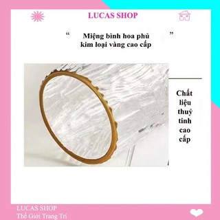 Lọ cắm hoa thuỷ tinh cao cấp, decor nhà cửa, trang trí quán cắm bình thuỷ tinh B032