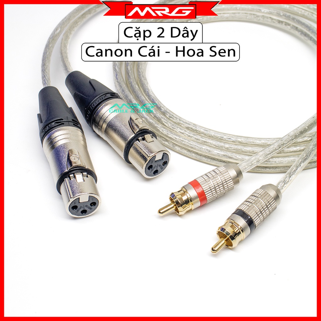 Dây Canon Cái Ra AV/Hoa Sen, giá 2 dây (XLR-Female To RCA). | Shopee ...