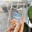Ốp lưng iphone Mèo Bắt Cá Trong Suốt Chống Sốc lưng cứng Cho IPhone 14 12 13 11 Pro Max 6 6S 7 8 Plus X XS XR sd1022