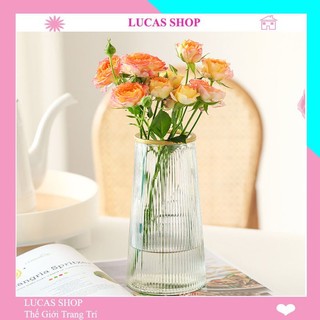 Lọ cắm hoa thuỷ tinh cao cấp, decor nhà cửa, trang trí quán cắm bình thuỷ tinh B032