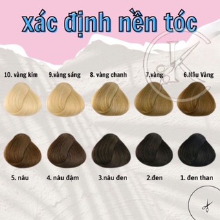 Thuốc Nhuộm Tóc Màu Phúc Bồn Tử - Tím Đỏ - Đỏ Rượu | Lên Từ Nền Đen 100g - Khanh.Color