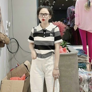 Áo len polo hình mèo hoạ tiết kẻ ngang phối màu lạ 479