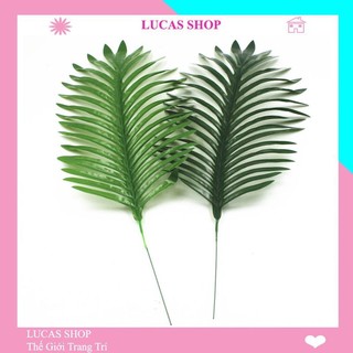 Lá giả - Lá cọ 45cm trang trí phông nền chụp ảnh, decor nhà cửa, cắm điểm, cổng cưới, bàn tiệc