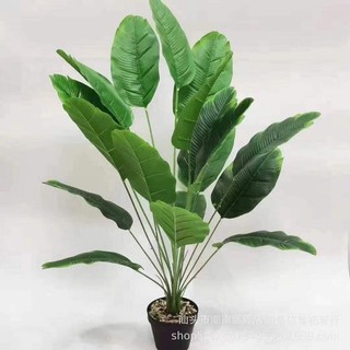 CÂY CHUỐI SINGAPORE 18 LÁ CAO 81 CM NHẬP KHẨU - CÂY GIẢ DECOR Nhà Cửa