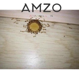 AMZO_THUỐC DIỆT KIẾN GIÁN SINH HỌC L2