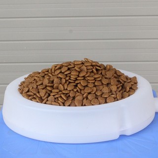 [2kg] Catsrang - Thức ăn hạt cho mèo mọi lứa tuổi