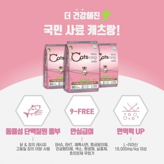 [2kg] Thức ăn hạt cho mèo con Catsrang Kitten túi 2kg