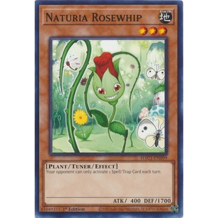 rose whip yugioh card YuGiOh 5D's Hidden Arsenal 2 Single Card Naturia Rosewhip HA02-EN041 Super  Rare : Amazon.co.uk: Toys & Games main image 1