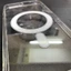 Ốp Lưng iPhone 7 Plus - 8 Plus Trong Suốt Nam Châm Hỗ Trợ Sạc Không Dây – Bảo Vệ Toàn Diện, Sạc Nhanh Tiện Lợi