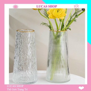 Lọ cắm hoa thuỷ tinh cao cấp, decor nhà cửa, trang trí quán cắm bình thuỷ tinh B032