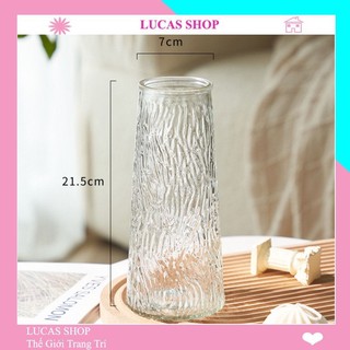 Lọ cắm hoa thuỷ tinh cao cấp, decor nhà cửa, trang trí quán cắm bình thuỷ tinh B032