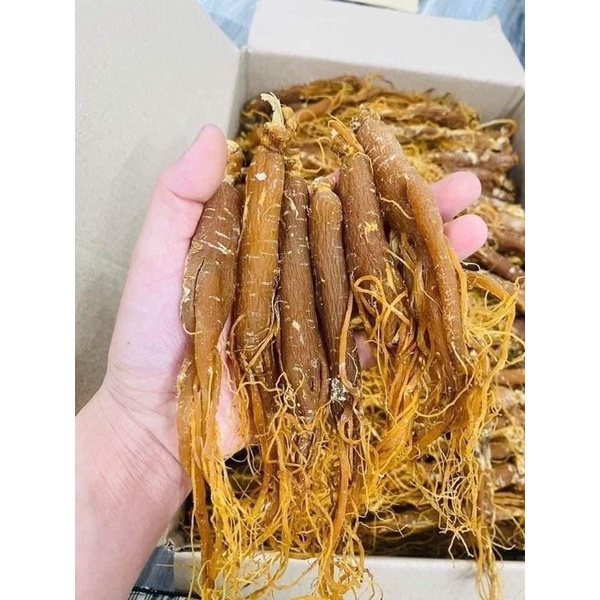 Hồng sâm sấy dẻo hàng đẹp củ to đều , thơm đậm vị sâm( Nhân sâm củ, sâm râu bồi bổ sức khỏe )100gr