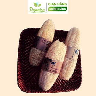Xơ mướp tắm nguyên trái tự nhiên tẩy tế bào chết da chết massage body lưu thông máu, ngừa mụn lưng OGANICO