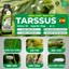 HỮU CƠ SINH HỌC TARSSUS - 100% CHIẾT SUẤT TỪ HỮU CƠ