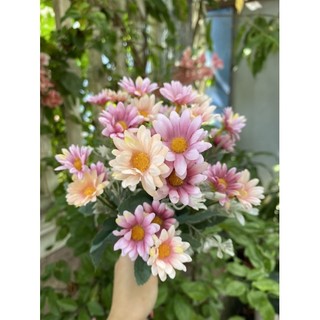<Chùm 30 bông >Chùm hoa cúc my nhập khẩu lá mốc siêu xinh loại 1- Hoa giả trang trí