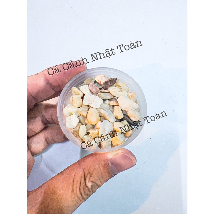 LỌC VI SINH CHO BỂ CÁ CẢNH XINYOU XY-168