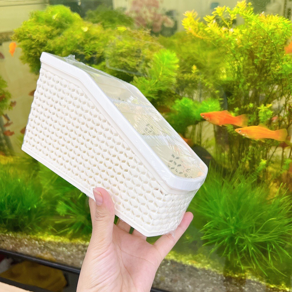 Khay Đựng Bút nhựa 4 Ngăn-VIỆT NHẬT PLASTIC - khay Lưới