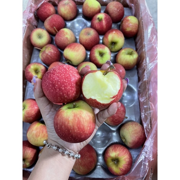 [ JENNY FRUIT ] GIAO NHANH HCM - TÁO TÚI NAN PHI - GIÒN RỤM