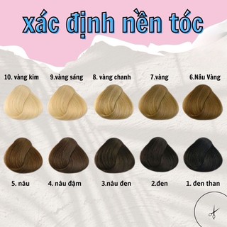 Thuốc Nhuộm Tóc Xanh Đen | Lên Từ Nền Nâu Không Tẩy 100mg - Khanh.color