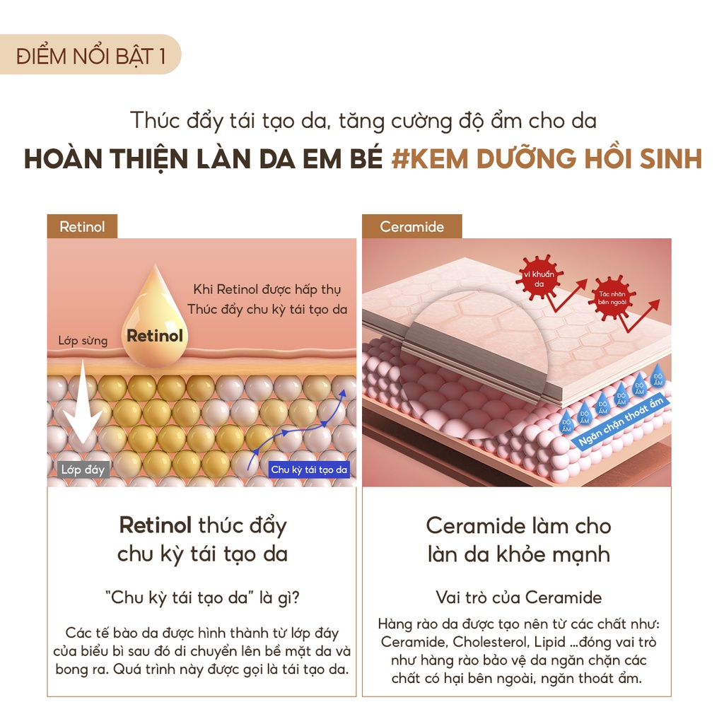 Ảnh Kem dưỡng da Age 20's Biomelift Vital Firming Cream 50ml 2