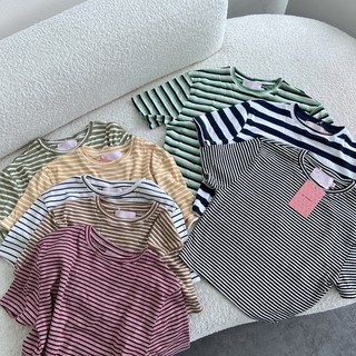 MIDDUA -CRS0801 Crop ôm sọc cổ tròn