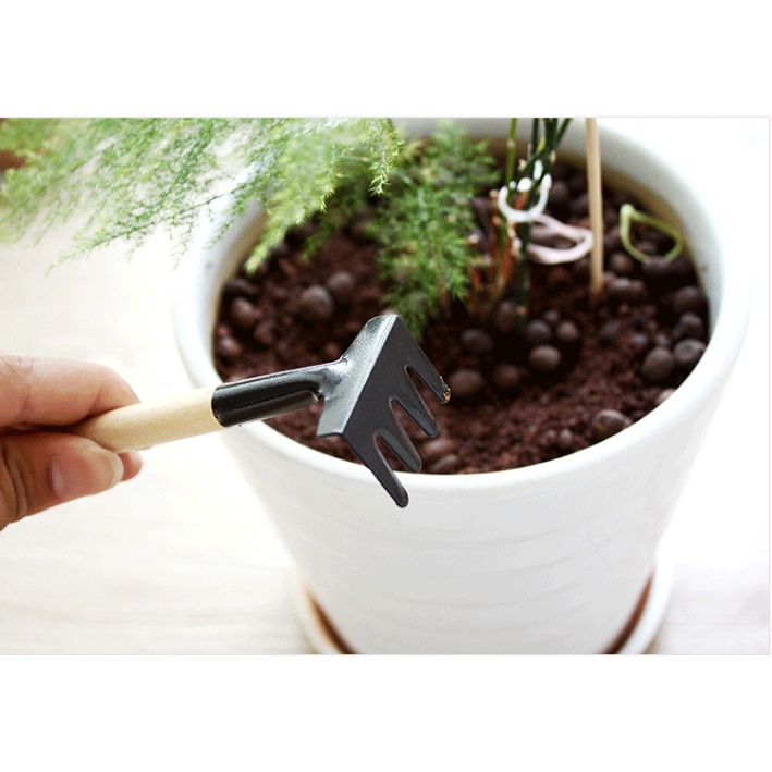 Dụng cụ làm vườn (mini, 3 món) tiện lợi, chuyên dụng trồng sen đá, cán gỗ
