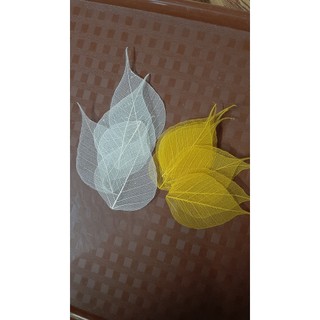Set 5 Xương lá bồ đề size mini 2-3-4cm để trang trí, làm đồ handmade