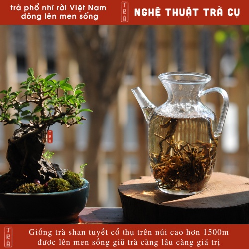 Trà phổ nhĩ shan tuyết cổ thụ Việt Nam đóng túi ziper 100gr