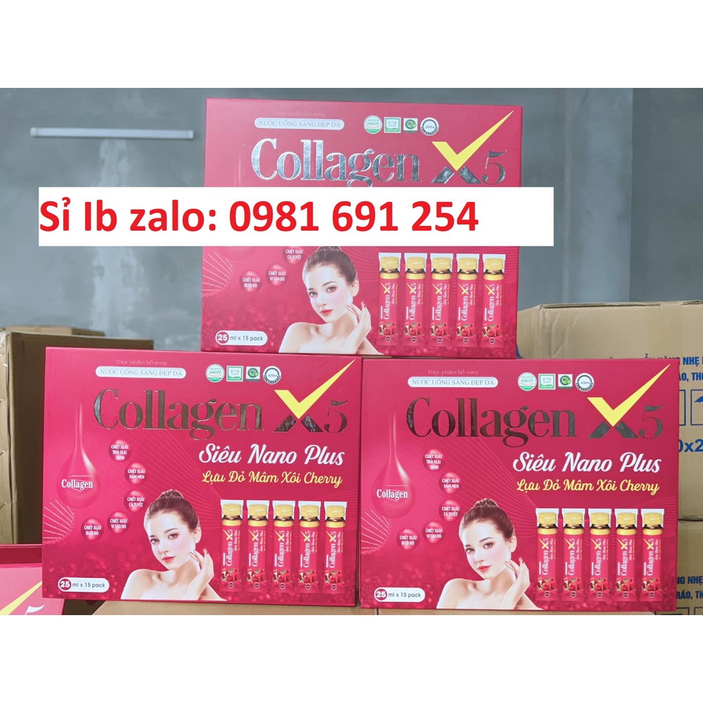 Tại sao Collagen X5 được gọi là dòng collagen X5?
