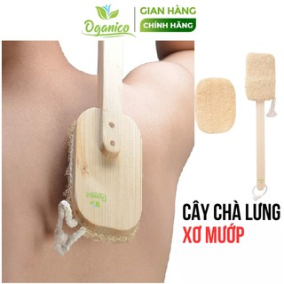 Cây chà lưng kỳ lưng bông tắm xơ mướp tẩy da chết tế bào chết kì cọ lưng sơ mướp cán gỗ OGANICO
