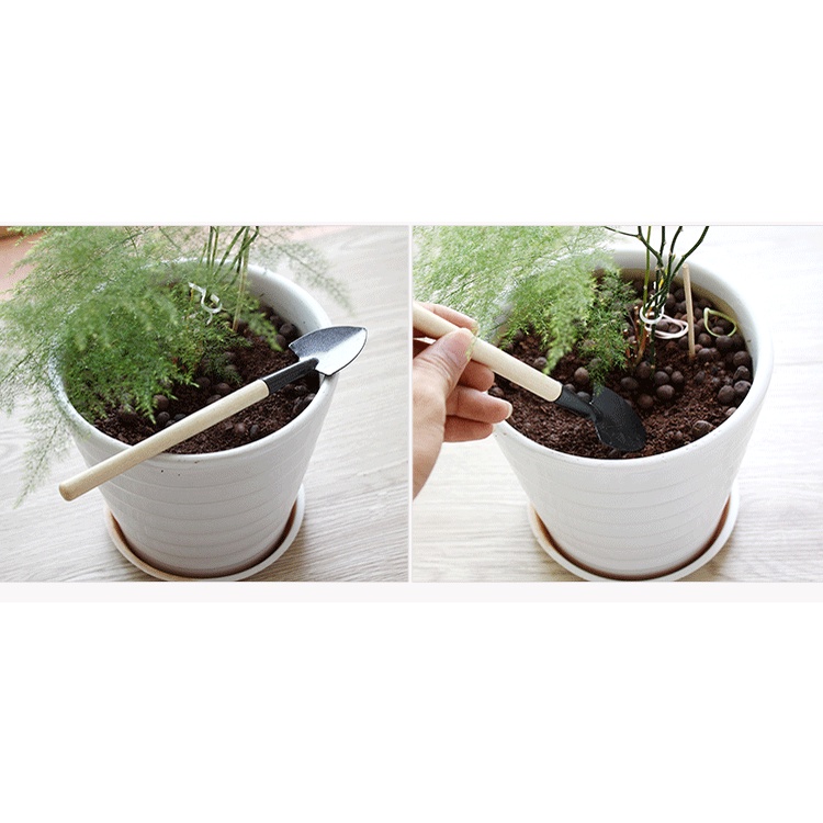 Dụng cụ làm vườn (mini, 3 món) tiện lợi, chuyên dụng trồng sen đá, cán gỗ