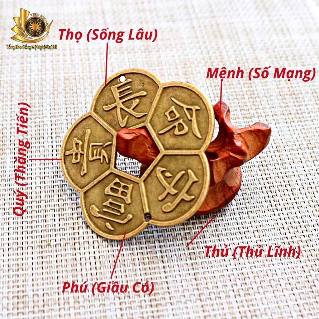 Đồng Xu Hoa Mai Phong Thủy Kết Dây Đặt Két Sắt Kim Tiền