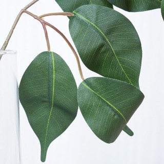 Lá giả - Cành lá si giả làm cây xanh cổ thụ trang trí nhà cửa quán cà phê rất đẹp