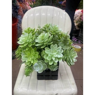 Sen đá chùm 5 bông cao cấp decor trang trí nhà cửa , chậu cây - Cây hoa giả