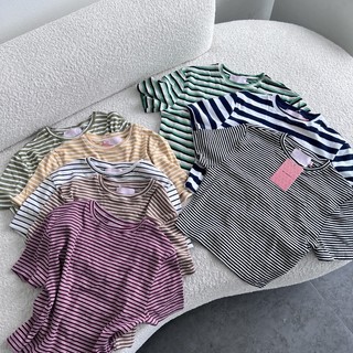 MIDDUA -CRS0801 Crop ôm sọc cổ tròn