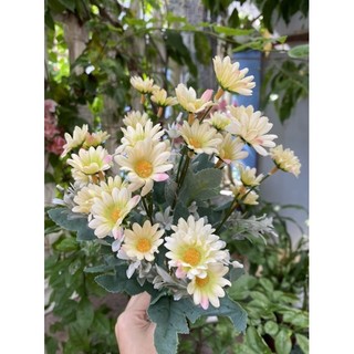 <Chùm 30 bông >Chùm hoa cúc my nhập khẩu lá mốc siêu xinh loại 1- Hoa giả trang trí