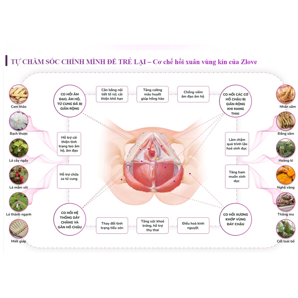Ảnh ZLV-Combo 4 Zlove Viên uống tăng cường sinh lý, làm hồng  se khít GrowGreenAz- Cân bằng nội tiết tố nữ( Hộp 50 viên) 2