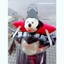 GỐI 1 ĐẦU CHO BÉ , GỐI ĐI XE MÁY