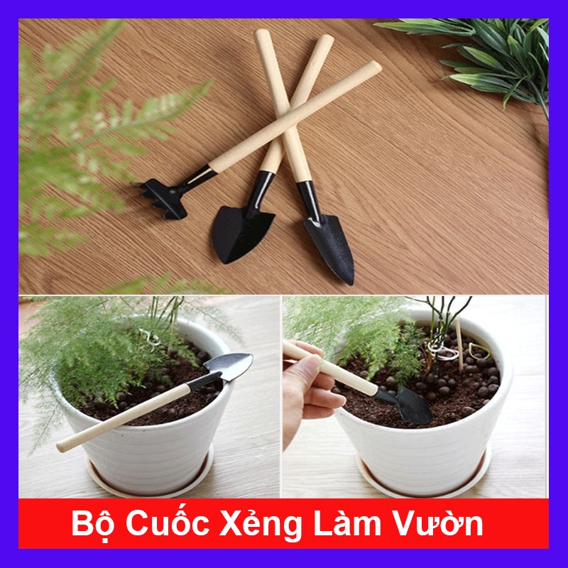 Dụng cụ làm vườn (mini, 3 món) tiện lợi, chuyên dụng trồng sen đá, cán gỗ