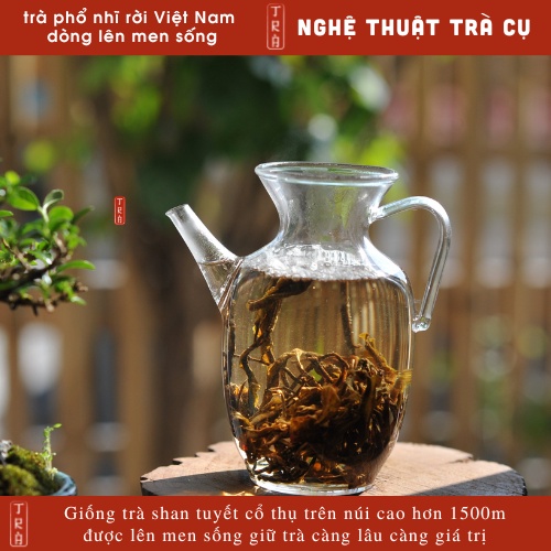Trà phổ nhĩ shan tuyết cổ thụ Việt Nam đóng túi ziper 100gr