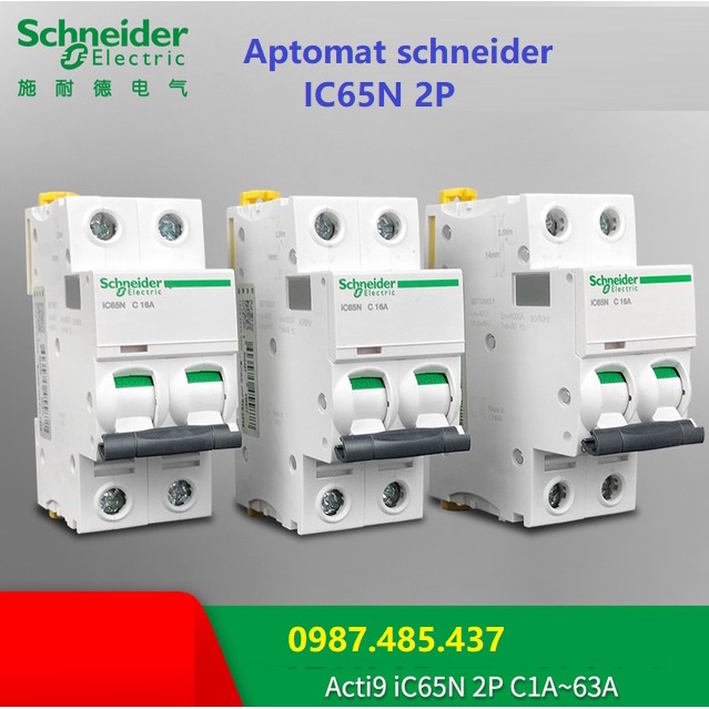 Attomat Schneider IC65N MCB 2P 10A, 16A, 20A, 25A, 32A, 40A, 63A ...